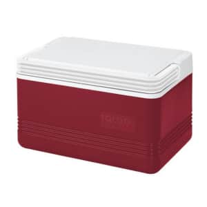 Coolers at Wayfair: from $11 Coolers at Wayfair: from $11