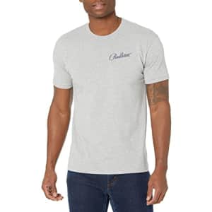 Pendleton Men's Classic Fit Graphic T-Shirt, Heather Grey/Blue, Medium for $27