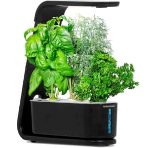 AeroGarden Sprout for $50 AeroGarden Sprout for $50