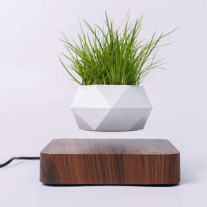 Babook Levitating Plant Pot for $51 Babook Levitating Plant Pot for $51
