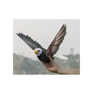 Go Go Bird RC Drone for $160 Go Go Bird RC Drone for $160
