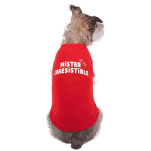 Spring Pet Apparel at Chewy: Shop now