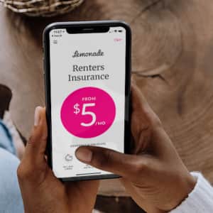 Lemonade Renters Insurance: Renters insurance from just $5/month