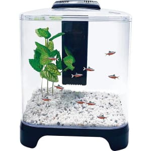 Penn-Plax 1.5-Gal. Betta Aquarium Tank Kit for $27 Penn-Plax 1.5-Gal. Betta Aquarium Tank Kit for $27