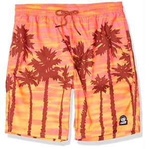 NEFF Men's Hot Tub Swim Surf Shorts, Breeze Palm, L for $23