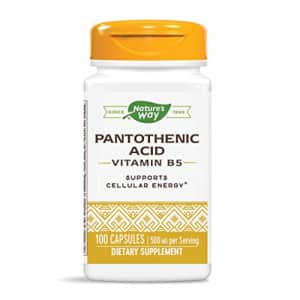 Nature's Way Pantothenic Acid, Capsules, 500 mg per serving, 100-Count for $11