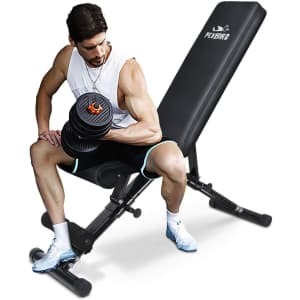 Flybird Adjustable Strength Weight Training Bench for $150 Flybird Adjustable Strength Weight Training Bench for $150