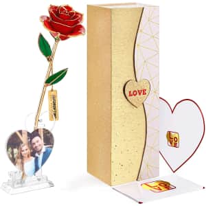 Forgifting 24K Gold Dipped Infinity Rose for $26 Forgifting 24K Gold Dipped Infinity Rose for $26