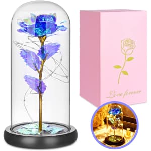 Sacoca Forever Flower Rose w/ Lights & Dome for $11