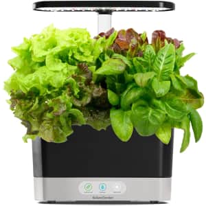 AeroGarden Harvest w/ Heirloom Salad Greens Pod Kit for $206