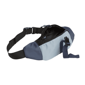 Gap Recycled Belt Bag for $12