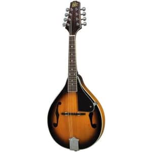 Rogue A-Style Mandolin for $54