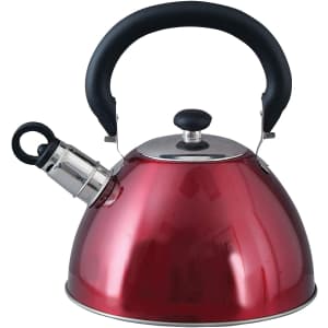 Mr. Coffee Morbern 1.8-Quart Stainless Steel Whistling Tea Kettle for $13