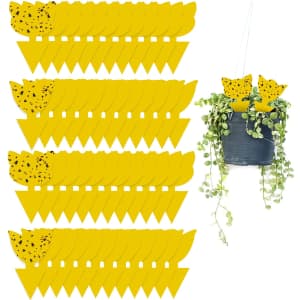Sticky Fruit Fly Traps for Plants 48-Pack for $11 via Sub & Save Sticky Fruit Fly Traps for Plants 48-Pack for $11 via Sub & Save