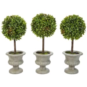Topiary Special Buys at Home Depot: from $15 Topiary Special Buys at Home Depot: from $15
