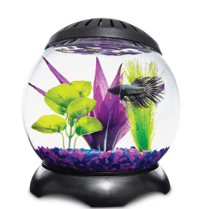 Imaginarium 1.3-Gallon Lotus Tank for $19 Imaginarium 1.3-Gallon Lotus Tank for $19