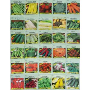Deluxe Valley Greene Heirloom Non-GMO Vegetable Garden Seeds 30-Pack for $10 Deluxe Valley Greene Heirloom Non-GMO Vegetable Garden Seeds 30-Pack for $10