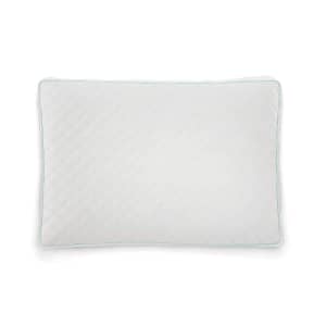 Sealy Memory Foam Cluster Standard Pillow for $20