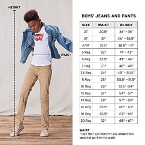 Levi's Boys' Little Westwood Cargo Shorts, Pompeian Red, 2T for $23 Levi's Boys' Little Westwood Cargo Shorts, Pompeian Red, 2T for $23