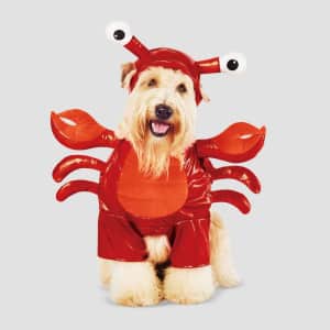 Halloween Costumes at Target: 40% off w/ Target Circle Halloween Costumes at Target: 40% off w/ Target Circle