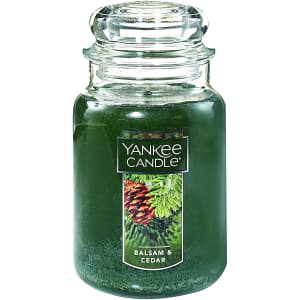 Yankee Candle Large Jar Candle Balsam & Cedar for $16