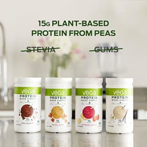 Vega Protein Made Simple - Vanilla (10 Servings), 9.1 Oz - Delicious Plant Based Healthy Vegan for $12