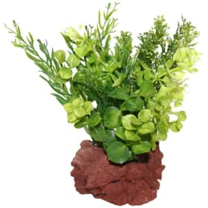 Rock Garden Natural Green Plant w/ Red Lava Rock Base for $10