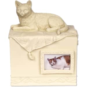 AngelStar Cat Cremation Urn for $29