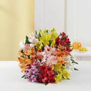 Peruvian Lilies at 1-800-Flowers: from $30 Peruvian Lilies at 1-800-Flowers: from $30
