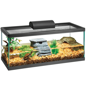 Open-Glass Tanks at Petco: Up to 30% off