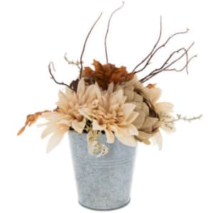 Fall and Thanksgiving at Hobby Lobby: 50% off Fall and Thanksgiving at Hobby Lobby: 50% off