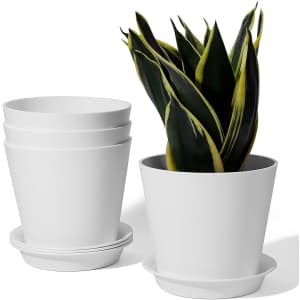 Potey 5.5" Succulent Plant Pot 4-Pack for $9 Potey 5.5" Succulent Plant Pot 4-Pack for $9