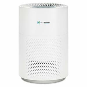 Guardian Technologie Germ Guardian True HEPA Filter Air Purifier for Home, Office, Bedrooms, Filters Allergies, Pollen, for $70 Guardian Technologie Germ Guardian True HEPA Filter Air Purifier for Home, Office, Bedrooms, Filters Allergies, Pollen, for $70