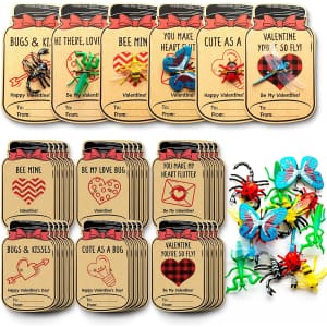 Dazonge LoveBug Valentines Day Cards 30-Pack for $13