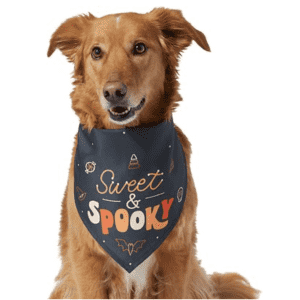 Halloween Pet Deals at Chewy: Discounts on costumes, toys, treats, and more Halloween Pet Deals at Chewy: Discounts on costumes, toys, treats, and more