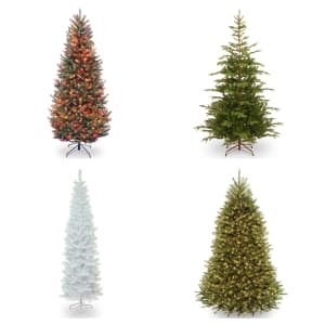 Christmas Trees at Wayfair: from $32 Christmas Trees at Wayfair: from $32