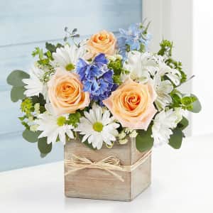 1-800-Flowers Sale: Free Shipping or No Service Charge 1-800-Flowers Sale: Free Shipping or No Service Charge