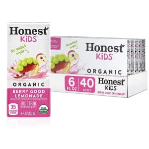 Honest Kids Berry Good Lemonade Organic Juice Box 40-Pack for $15 Honest Kids Berry Good Lemonade Organic Juice Box 40-Pack for $15