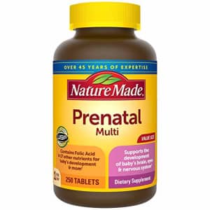 Nature Made Prenatal Vitamin with Folic Acid, Iron, Iodine & Zinc, 250 Tablets (Packaging May Vary) for $20