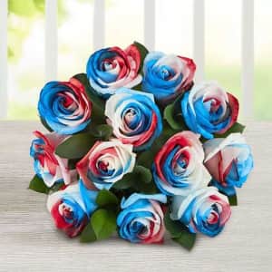 1-800-Flowers Red, White, & Blue Kaleidoscope Roses from $55