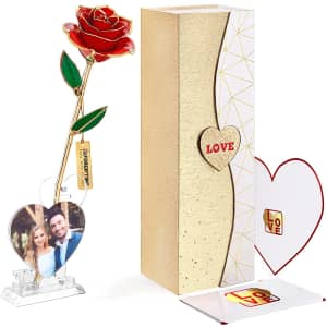 24K Gold Dipped Infinity Rose w/ Picture Frame & Greeting Card for $28 24K Gold Dipped Infinity Rose w/ Picture Frame & Greeting Card for $28