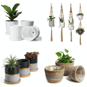 Potey Indoor & Outdoor Planter Pots at Amazon: 50% off Potey Indoor & Outdoor Planter Pots at Amazon: 50% off