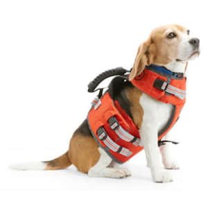 Backcountry x Petco: 25% off Backcountry x Petco: 25% off