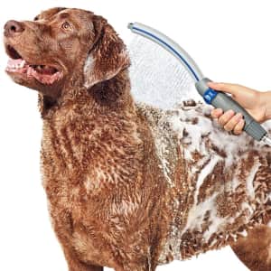 WaterPik Pet Wand Pro Shower Sprayer Attachment for $40 WaterPik Pet Wand Pro Shower Sprayer Attachment for $40