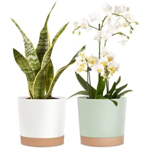Kubvici 8'' Plastic Flower Planter Pots 2-Pack for $18