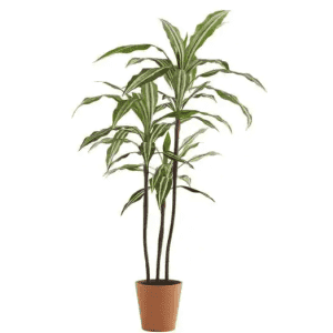 Artificial Plant Deals at Home Depot: Up to 40% off