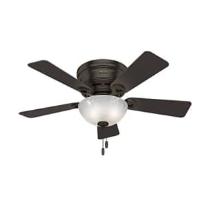 Hunter Fan Hunter Haskell Indoor Low Profile Ceiling Fan with LED Light and Pull Chain Control, 42", Premier for $83
