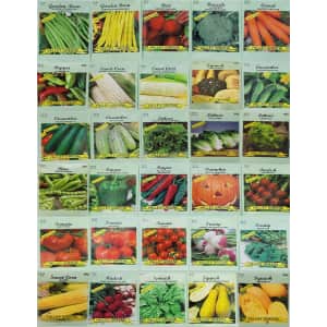 Deluxe Valley Greene Heirloom Non-GMO Vegetable Garden Seeds 30-Pack for $15