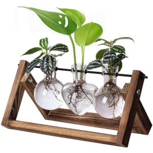 XXXFlower 2-Shape Bulb Vase Plant Terrarium Set for $10 XXXFlower 2-Shape Bulb Vase Plant Terrarium Set for $10