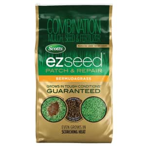 Grass Seed Deals at Ace Hardware: BOGO free deals + extra discounts for members